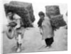 Natives of Mexico by Anonymous