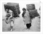 Natives of Mexico by Anonymous