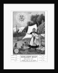 Advertisement for 'Sunlight Soap' by Anonymous