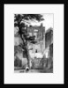 Milton's House in Petty France, Westminster, London by Rischgitz Collection