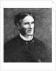 Matthew Arnold, Poet and Critic by Anonymous