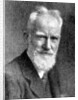 'George Bernard Shaw', British dramatist by C Vandyk Ltd