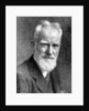 'George Bernard Shaw', British dramatist by C Vandyk Ltd