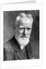 'George Bernard Shaw', British dramatist by C Vandyk Ltd