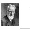 'George Bernard Shaw', British dramatist by C Vandyk Ltd