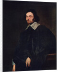 A Senator of Antwerp by Anthony van Dyck