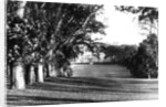 Mount Edgcumbe by Anonymous