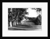 Mount Edgcumbe by Anonymous