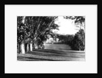 Mount Edgcumbe by Anonymous