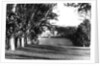 Mount Edgcumbe by Anonymous