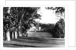 Mount Edgcumbe by Anonymous