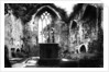 Muckross Abbey, Killarney by Anonymous