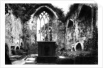 Muckross Abbey, Killarney by Anonymous