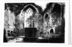 Muckross Abbey, Killarney by Anonymous