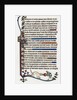 Page of decorated text by Anonymous
