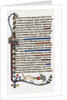 Page of decorated text by Anonymous