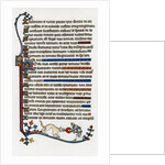 Page of decorated text by Anonymous