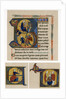 King David by Anonymous
