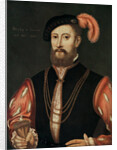 Lord Darnley by Anonymous
