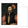 Lord Darnley by Anonymous