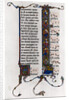 Tree of Jesse in initial letter 'I' by Anonymous