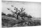 Arbre a Corbeaux by Charles François Daubigny