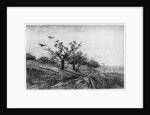 Arbre a Corbeaux by Charles François Daubigny
