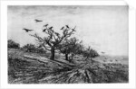 Arbre a Corbeaux by Charles François Daubigny