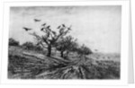 Arbre a Corbeaux by Charles François Daubigny