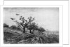 Arbre a Corbeaux by Charles François Daubigny