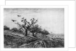 Arbre a Corbeaux by Charles François Daubigny