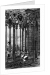 La Galerie Notre-Dame by Charles Meryon