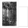 La Galerie Notre-Dame by Charles Meryon