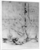 'Les Oies', (The Geese) by Berthe Morisot