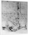 'Les Oies', (The Geese) by Berthe Morisot