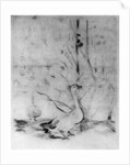 'Les Oies', (The Geese) by Berthe Morisot