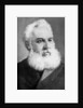 Alexander Graham Bell (1847-1922), Scottish-born American inventor by Anonymous