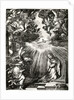 Annunciation by Giovanni Jacopo Caraglio