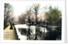 The River Gipping, Ipswich by Cavenders Ltd