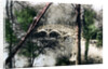 Bridge over the River Thames at Nuneham Courtenay, Oxfordshire by Cavenders Ltd