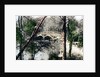 Bridge over the River Thames at Nuneham Courtenay, Oxfordshire by Cavenders Ltd
