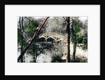 Bridge over the River Thames at Nuneham Courtenay, Oxfordshire by Cavenders Ltd