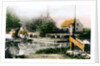 The ferry at Bablock Hythe, Oxfordshire by Cavenders Ltd