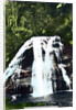 Mokau Falls, North Island, New Zealand by Cavenders Ltd