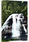 Mokau Falls, North Island, New Zealand by Cavenders Ltd