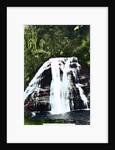Mokau Falls, North Island, New Zealand by Cavenders Ltd