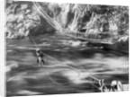 Rope bridge, Jhelum Valley, Kashmir, India by F Bremner
