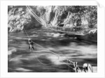 Rope bridge, Jhelum Valley, Kashmir, India by F Bremner