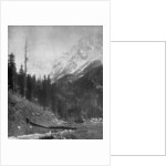 Sindh Valley glaciers, Kashmir, India by F Bremner