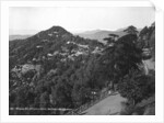 Longwood Hotel, Elysium Hill, Shimla hill range, India by Anonymous